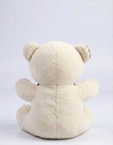 Cute Plush Teddy Bear ( cash preferred)