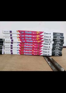 Class 6 ICSE Books Set and cbse book