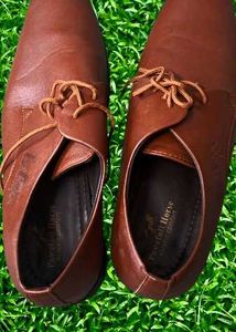Lee Cooper Brown Formal Shoes