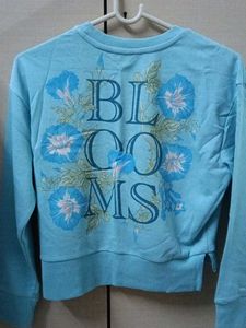 SEA GREEN SWEATSHIRT