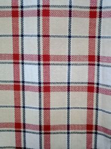 Netplay Checks Casual Shirt For Men