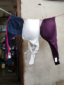 Combo 3 40B 40C Padded  Bras.