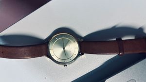 Skagen Brown Leather Watch