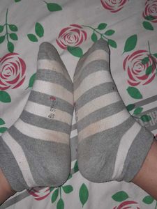 Socks Daily Wear