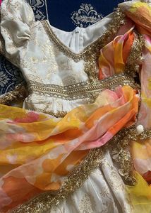 Elegant Embroidered Anarkali Dress