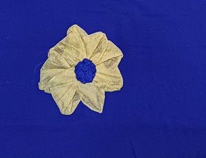 Elegant Blue Saree with Embellishments