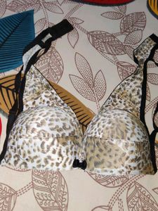 Paded Bra Tiger Print
