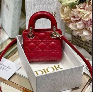 Mini Dior Bag