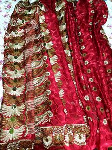 Stunning Red Designer Saree