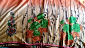 Orange And Nude Colour Saree With Reshmi Kdai