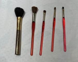 5 Makeup Brushes