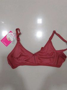 Everyday Bra Pink