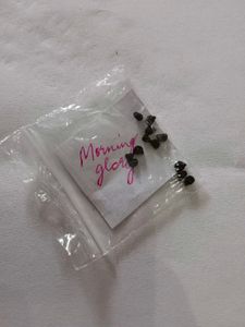 Morning Glory Seeds
