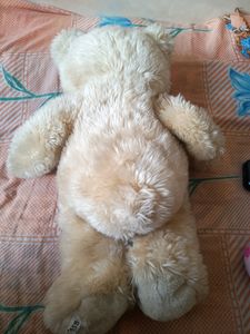 Super Cute Teddy Bear 🧸🧸🧸