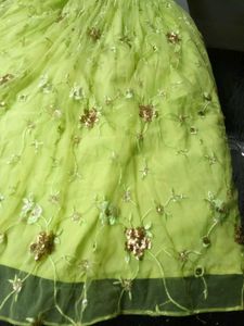 Party wear skirt