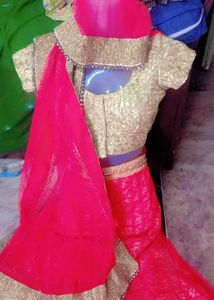 Pink &amp; Gold Lehenga Choli