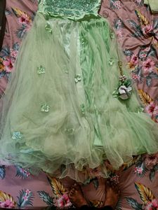 Mint Green Embroidered Lehenga choli
