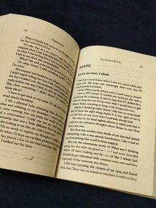 Too Good to Be True Novel