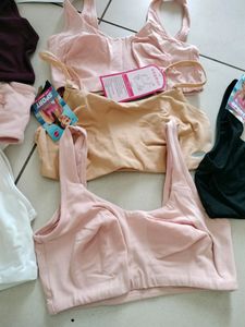 Combo Of 7 Enamor Small Size Sports Bra