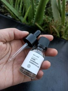 Rosemary Essential Oil