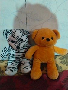 Combo Teddy Bear 🧸 Plush