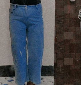 Light Wash Flared Jeans