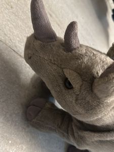Teddy