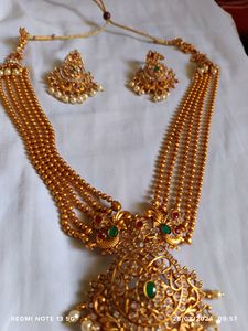 Premium Middle Hara