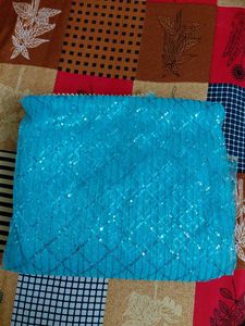 Blue Sequined Saree
