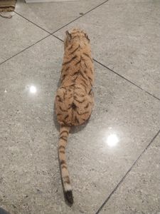 Combo - Tiger  + Tedy Bear + Doll