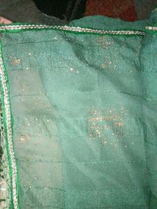 Green Embellished Saree