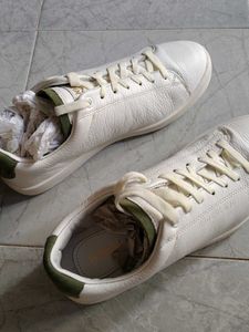 Sneaker for Men