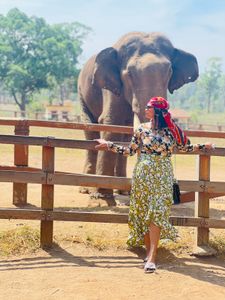 Floral Print Midi Skirt