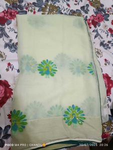 Elegant Green Saree &amp; Blouse