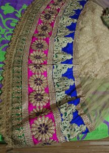 Beautiful Lengha