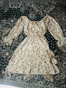 Women Shots  Sheer Brown, Beige Dress