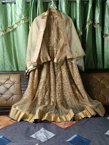mastani anarkali  dress all over golden colour loo