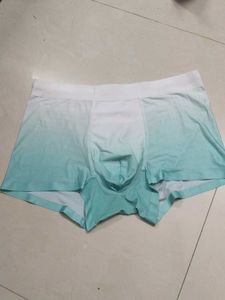 Men's Gradient Boxer Briefs