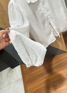 Elegant White Sheer Blouse