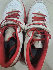 Sports Shoes