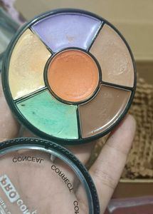 Insight Pro Concealer Palatte