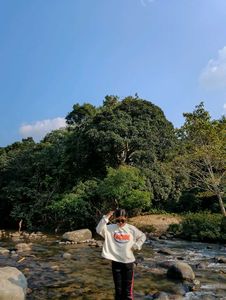 Lucide Graphic Sweatshirt