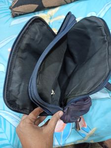 Baggit Handbag With Hidden Pocket For Bottle