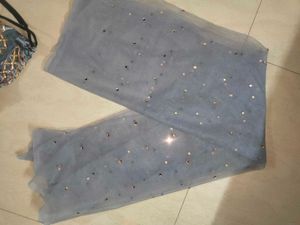 Grey Lehenga With Dupatta