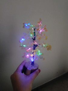 Tree Lam Show Piece