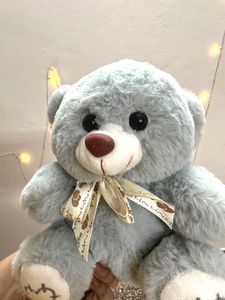 Plush Teddy Bear