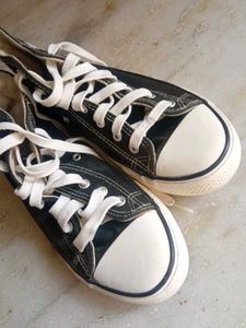 Converse Like Shoes
