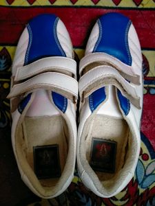 Walking/Running Shoes