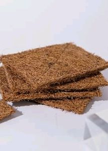 Coconut Scruber For Body