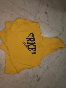 Zara Hoodie